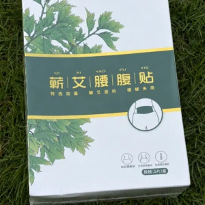Mugwort Waist & Abdomen Patches — 5 Pack — product photograph